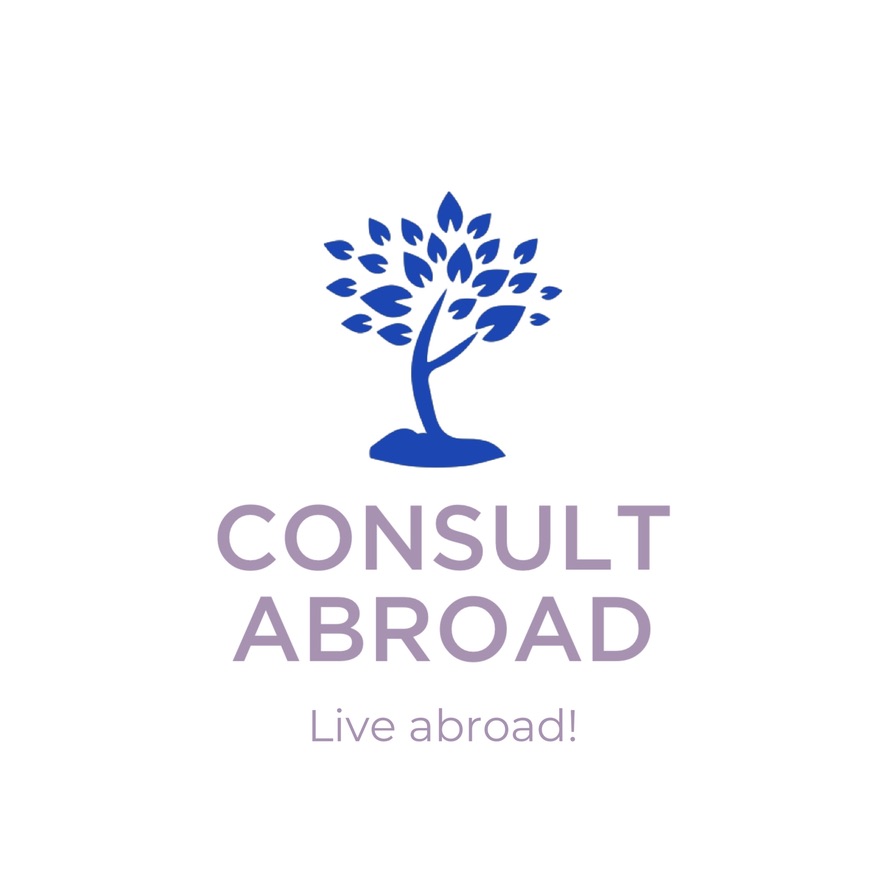 ConsultAbroad logo